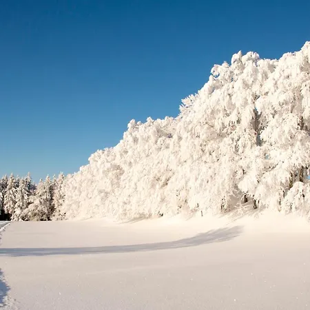 Apartment Casa Milla, Langete - Moderne&zentrale Maisonette Mit Balkon Und Tiefgarage *