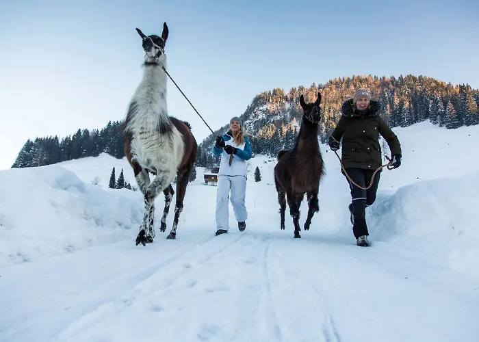 Casa Milla - Moderne & Zentrale Maisonette In Mit Balkon Und Tiefgarage