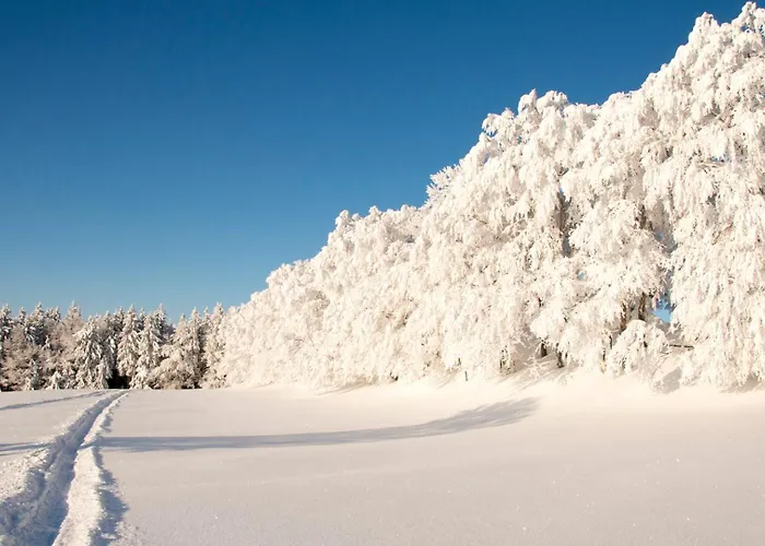 Apartman Casa Milla - Moderne & Zentrale Maisonette In Mit Balkon Und Tiefgarage *